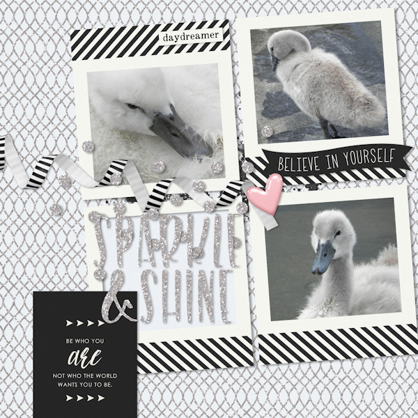 swan_believe