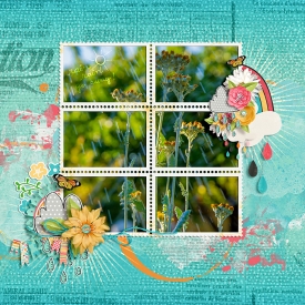 01_showersflowers.jpg