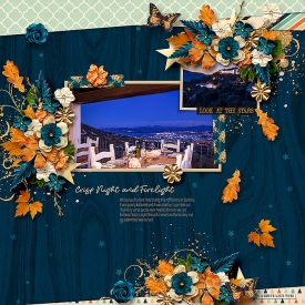 0705-crisp-night-and-firelight.jpg