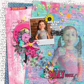 0815-silly-goose.jpg