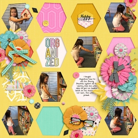 0828-organized.jpg