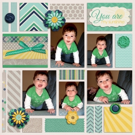 11-12-9-you-are-my-sunshine700.jpg