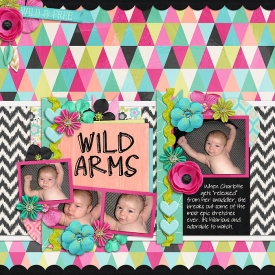 11-5-31-wild-arms.jpg