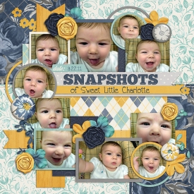 11-8-22-snapshots-of-charlotte.jpg