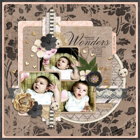 11-8-22-wonders.jpg
