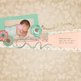 11-8-29-beautiful-dreamer.jpg