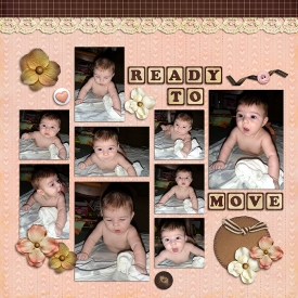 11-9-2-ready-to-move.jpg