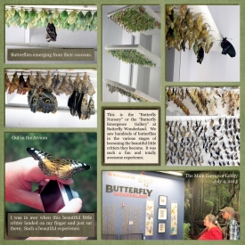13-RE-SCRAP-A-PAGE-USING-INSPIRATION-FROMAA-THURSDAY-TREAT-FROM-THE-SSD-BLOG.jpg