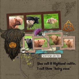 15jun_heiry_coo.jpg