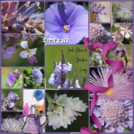 15may12_jardin_purple.jpg