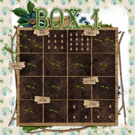 16-PL-May-garden-box-a.jpg