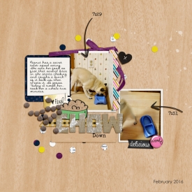 16-feb-6-web.jpg