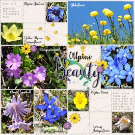 16jun-wildflower-01.jpg