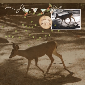 16oct31_deer01.jpg