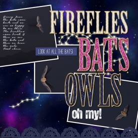 17jun_bats01.jpg