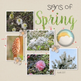 17spring01.jpg