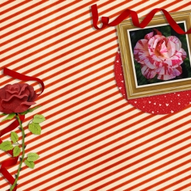 18may_new_rose.jpg