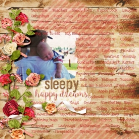 1999-Sleepy-Happy--Dreams-web.jpg