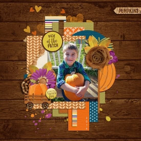 2014_OCT_Pumpkin_WEB.jpg