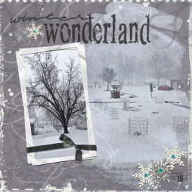 2015-03-04-WinterWonderland-SSD-web.jpg