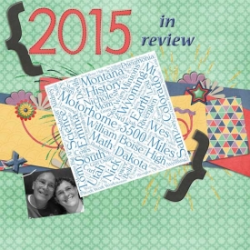 2015-in-Review-WEB.jpg