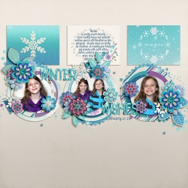 20150220wwncb700.jpg