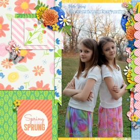 20150323spring700.jpg