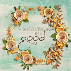 2015GOODONE700.jpg