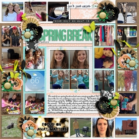 2015marchspringbreak700.jpg