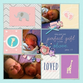 2016-Sweet-Baby-Izzi-web.jpg