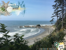 2018-08-Kalaloch-Beach-WEB.jpg