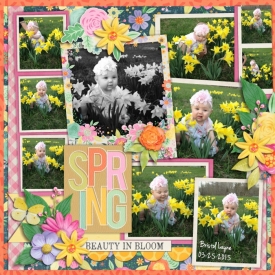 20180331_spring_in_bloom_Custom_.jpg