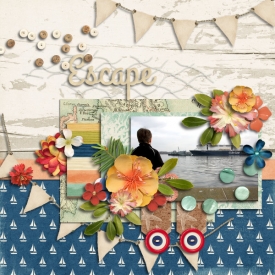 2_Bunting_Andere_.jpg