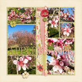 Apple-Blossoms-WEB.jpg