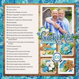 BINGO-bucketlist.jpg