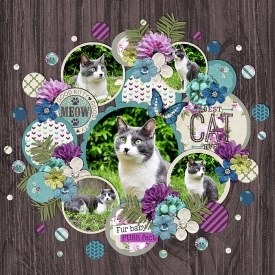 Beautiful_Girl_Circles.jpg