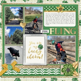 Bingo-green-and-gold.jpg