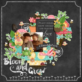 BingoMay16web.jpg