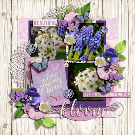 Bloom_immaculeah1.jpg