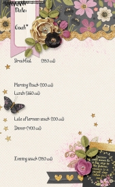 CalorieTracker2_rach3975.jpg