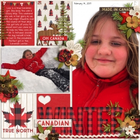 CanadianWinter_Feb20171.jpg