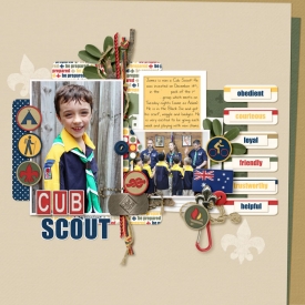 Cub-scout.jpg