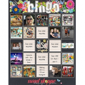 DSD_2018_Completed_Bingo_Card.jpg
