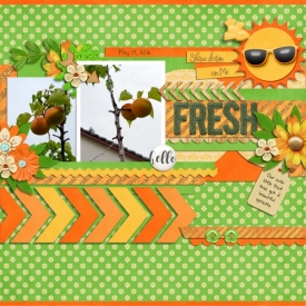 Family2016_Fresh_600x600_.jpg