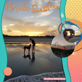Florida-Sunshine1.jpg