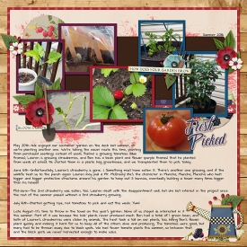 FreshPicked_rach3975.jpg