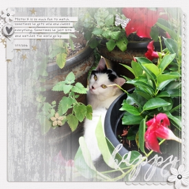 Happy-WEB9.jpg