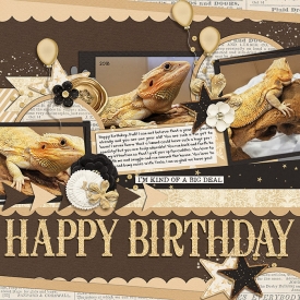 HappyBirthdayDink.jpg