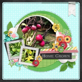 Home-Grown-WEB.jpg