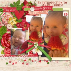 Intro_to_Strawberries_sml.jpg